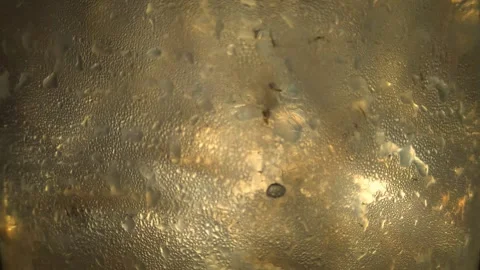 The background is hazy, like the surface of a yell Stock Footage 252803896