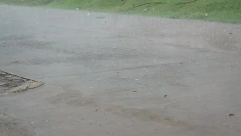 Background of heavy rain falling on the street in spring or summer Stock Footage 309585181