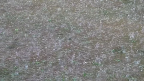 Background of heavy rain falling on the street in spring or summer Stock Footage 309585202