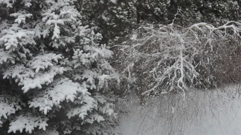 Background. Heavy snowfall. Snow hypnosis. Video stock 101560200