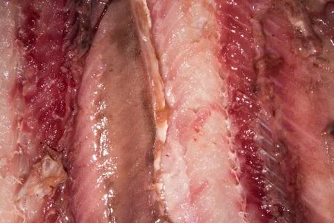Background of herring fillets.Herring meat texture.Herring in the context. Stock Photos