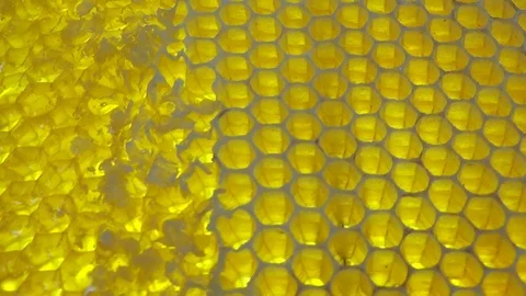 Background of honey pattern in honeycombs closeup. Stock-Footage 119980316