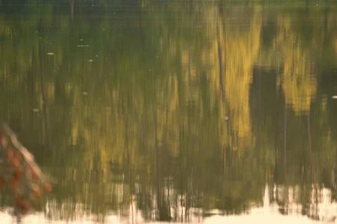 Background horizontal photo of reflection in water of the forest in early a.. Stock Photos