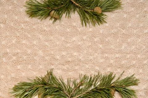 The background horizontal, small bouquets from above and below, of pine branches Foto stock