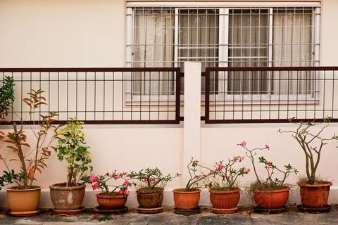 The background of the house is a plaster wall lined with empty flower pots ne Stock Photos