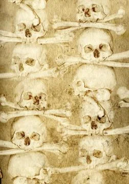 Background with human skulls and bones Stock Illustration