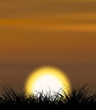 Background illustrating sunset with the grass shape in the front Stock Illustration