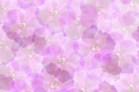 Background Illustrazione stock