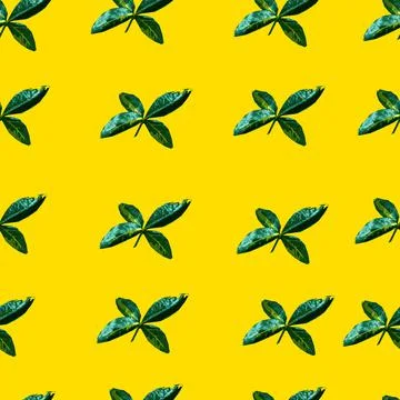 Background 스톡 일러스트