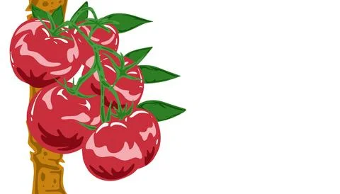 Background illustration of tomatoes Illustrazione stock