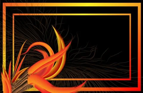 The background image is in black with bright bird feathers of red and orange Illustrazione stock