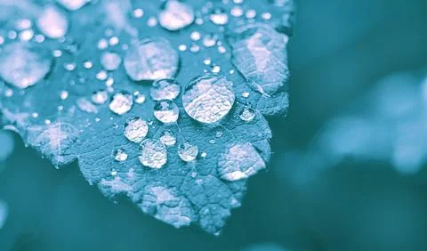 The background image in blue tones is a close-up of raindrops on a sheet..... Stock Photos