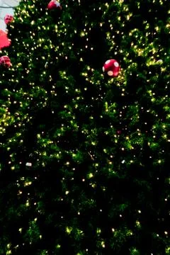 Background image of a christmas tree decorated with lights Stock Photos