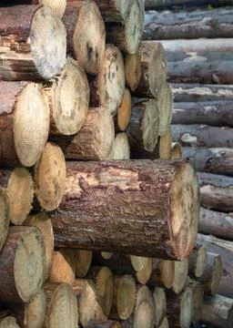 Background image, close up image of wood pile Stock Photos