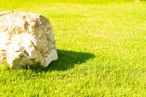 Background image Large stone on green grass, copy space. Stock Photos