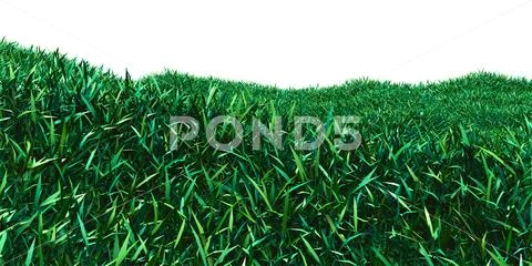 Background image of lush grass field Stock Illustration