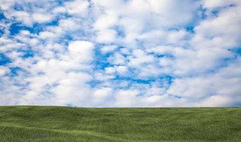 Background image of lush grass field Stock Photos