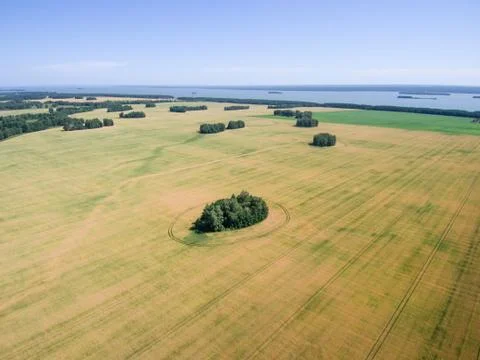 Background image of lush grass field use in presentations Stock Photos