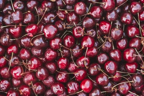Background image of lying red ripe sweet cherries. Top view. Flat lay. Copy s Stock Photos