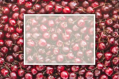 Background image of lying red ripe sweet cherries with white rectangular fram Stock Photos
