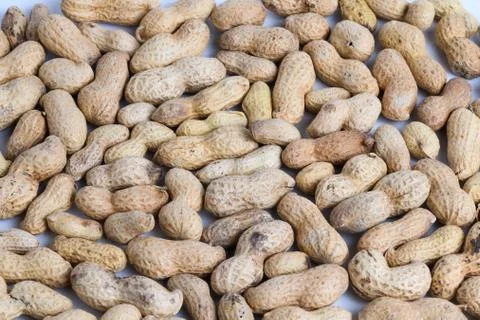 Background image of peanuts in shell Stock Photos