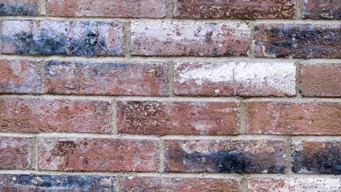 Background Image Stock Photos