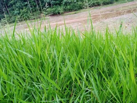 Background image Stock Photos