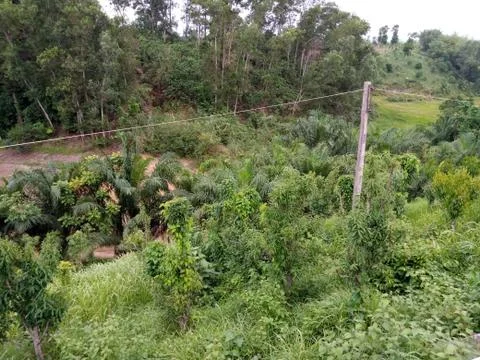 Background image Stock Photos