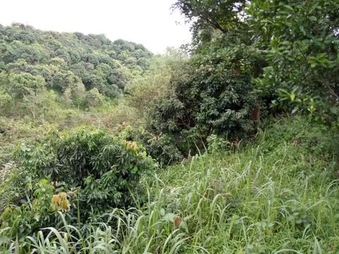 Background Image  Stock Photos