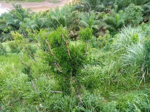 Background image Stock Photos