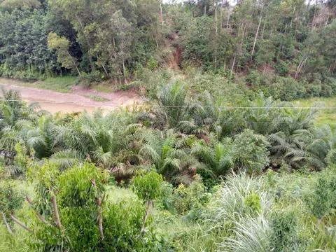 Background image Stock Photos