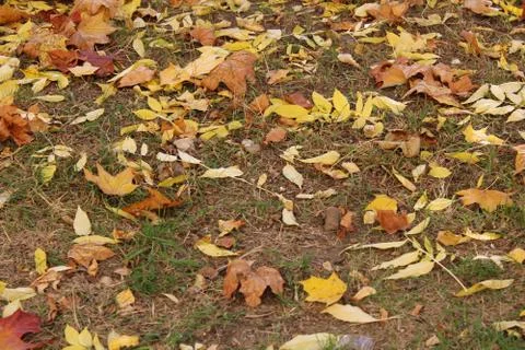 Background image Stock Photos