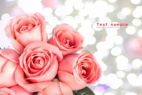 Background image of pink roses Stock Photos