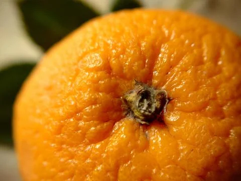 Background image of a ripe orange close-up Stock Photos