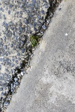 Background image of rough and cracked concrete floor of cement floor. Stock Photos