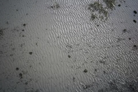 Background image. Sand seabed top view for background and texture Stock Photos