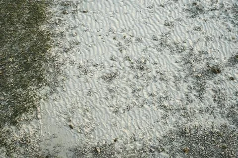 Background image. Sand seabed top view for background and texture Photos