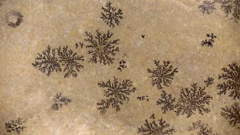 Background image of the stone surface with a natural pattern in the form of s 写真素材