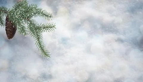 The background image with the texture of the snow and spruce branches with co Stock Photos