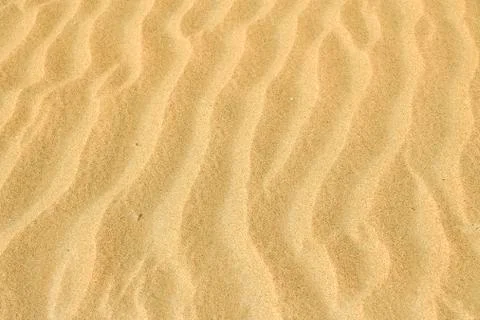 Background image wave pattern in the sand Namib Desert Namibia Africa 写真素材