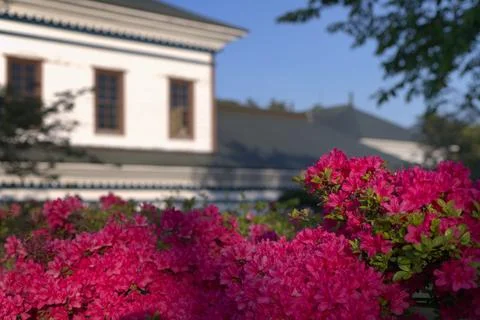 A background image with a white building and flowers Stock Photos