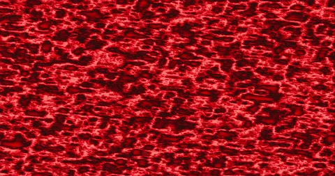 Background Infection Spreading Pulsating Disease Red Stock Footage 155503692