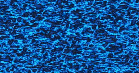 Background Infection Spreading Pulsating Disease Blue Stock Footage 155505651