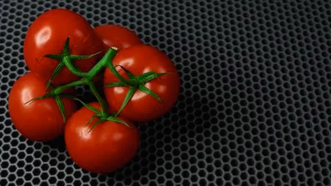 Background for insertion, tomatoes on a branch close-up on a dark background Stock Photos