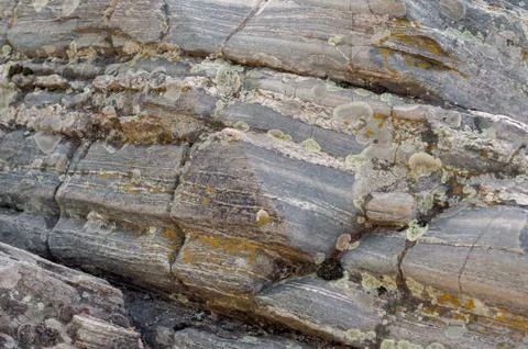 Background of an interesting layered stone Stock Photos