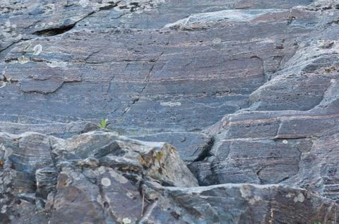 Background of an interesting layered stone Stock Photos