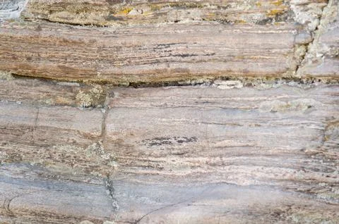 Background of an interesting layered stone Stock Photos