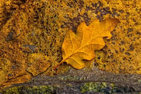 Background with interesting structure of stone Stock Photos