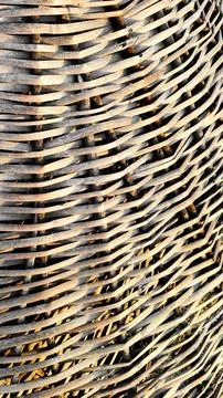 Background of intertwined dry branches, diagonal lines, vertical frame Stock Photos
