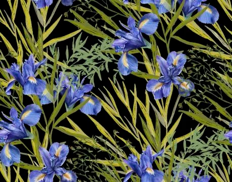 Background of iris flowers with foliage. Seamless pattern. watercolor illustr Stock Illustration